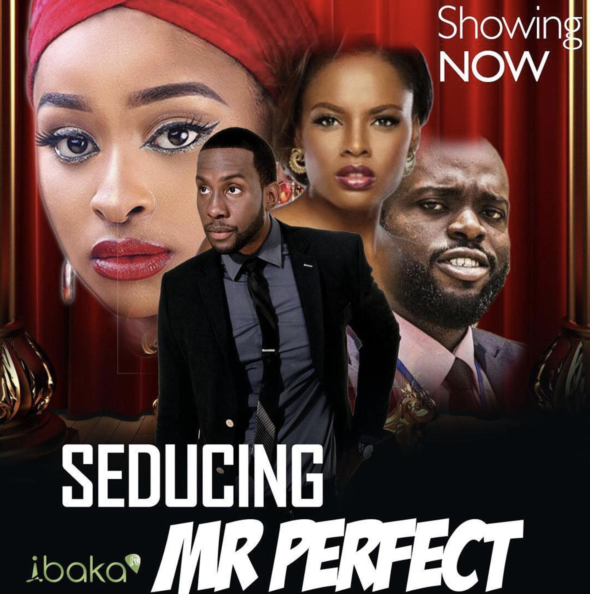 Seducing Mr. Perfect (2019)