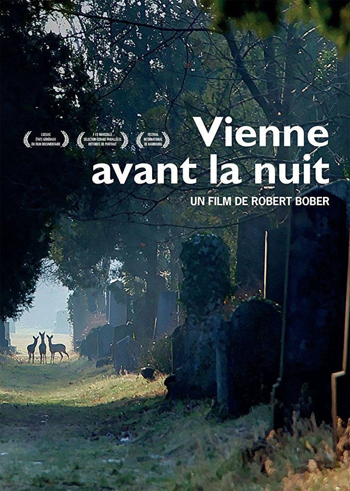 Vienne avant la nuit (2017)