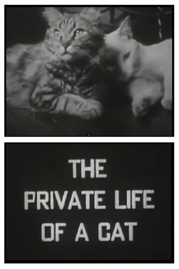 Личная жизнь кота (1946)