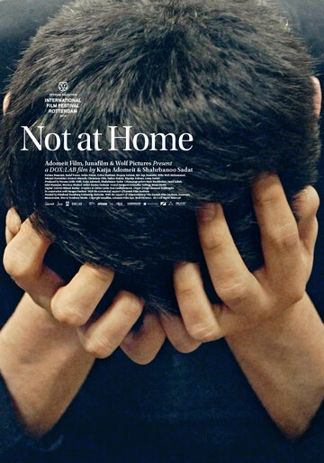 Not at Home (2013)