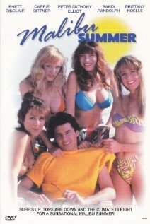 Malibu Summer (1993)