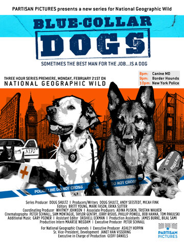 Собаки на службе (2011)